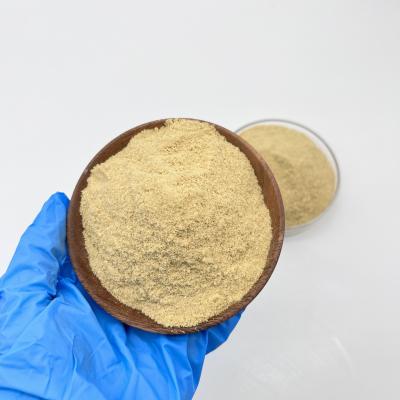 China Industrial Brown 21% Pfs Solid Polyferric Sulfate CAS No 10028-22-5 for sale