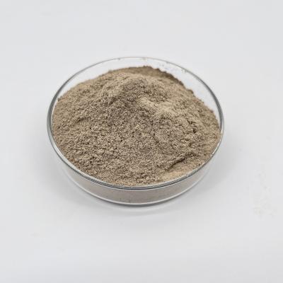 Chine Temperature Range 5-45°C Brown Waste Water Treatment Bacterial for Industrial Applications à vendre