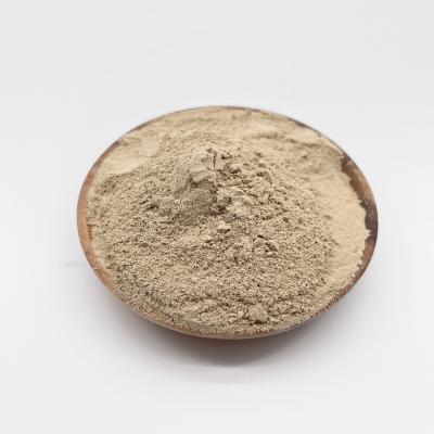 China Powder Form Water Treatment Bio Bacteria with High Concentration for sale