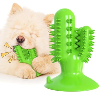 China Stocked Professional supplier cactus dog toy dog chew brush toy pet rubber cactus toy for sale