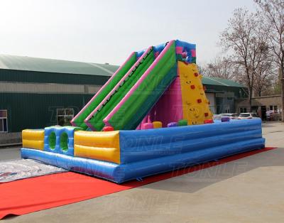 China Party/Outdoor/Indoor Customized Inflatable Slides For Sale Inflatable Pool Slide With Climbing Wall for sale