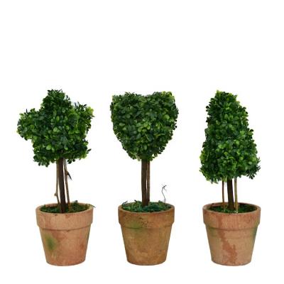 China Contemporary Set of 3 Cheap Conical Potted Star Plant Heart Bonsai Simulation Artificial Boxwood Topiary Bonsai for sale