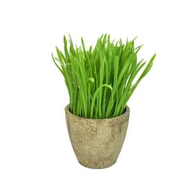 China Potted Mini Artificial Plant For Planters Office Minimalist Decor Original Home Window Decoration for sale