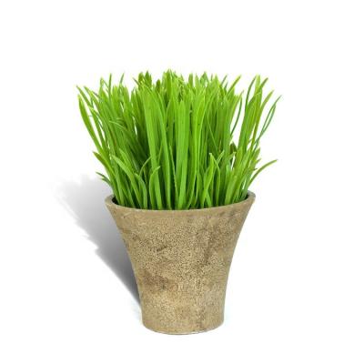 China Contemporary Indoor Greenery Cement Pot Mini Grass Plant Potted Plastic Artificial Bonsai For Office Home Decor for sale