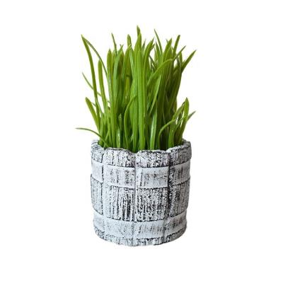 China Minimalist Farmhouse Home Reed Plant Green Grass Lovely Faux Artificial Succulents in Cement Pot for sale