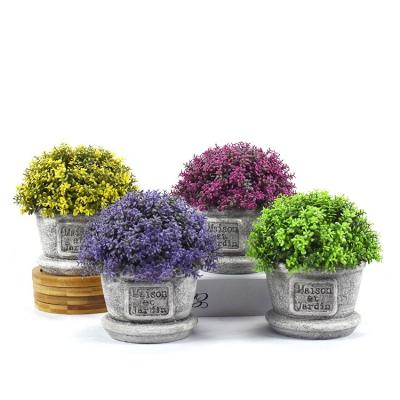 China Wholesale Minimalist Artificial Colorful Topiary Bonsai Plant Desktop Potted Plants Herb Mini Potted Plants MY976 for sale