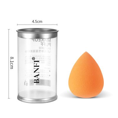 China Banfi Soft Latex Free Different Shape Makeup Sponge Blender Blow Cosmetic Washable Makeup Sponge Blow For Foundation for sale