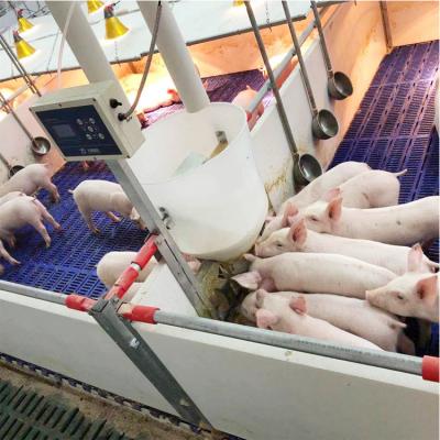 China Livestock Farm Factory Plastic Injection Molding Plastic Injection Mold For Cooler Box Lamella Pig Plastic Flooring for sale