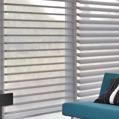 China Supplier Wholesaler Eco-friendly Guangzhou Quality Elegant Triple Pure Shades Window Roller Blinds for sale