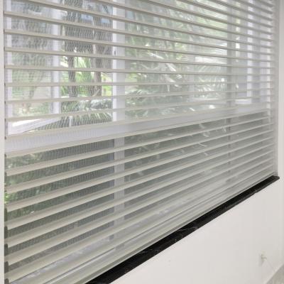 China Low MOQ Sheer Shades Window Blinds In Eco-friendly Chinese Triple Shangri Curtain Modern Design La for sale