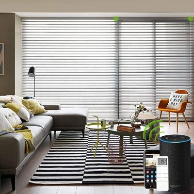 China Shangri La Silhouette Shade Eco-friendly Professional Customization Motorized Sheer Roller Blinds for sale