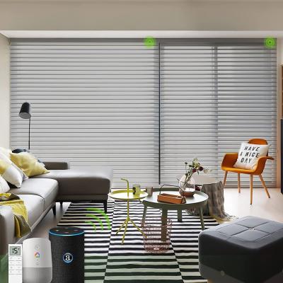 China Eco-friendly La Wifi Shangri Smart Central Electric Motorized Smart Adjustable Roller Blinds For Windows for sale