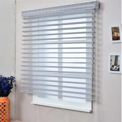 China Eco - Friendly Manual Light By Blackout Shangri La Pure Roller Window Blind Shade for sale