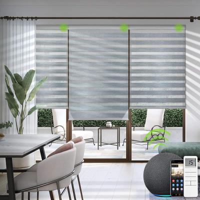 China CE Certificate Chargeable Cordless Motorized Zebra UV-protector Battery Blinds Day Night Roller Shades For Sale for sale