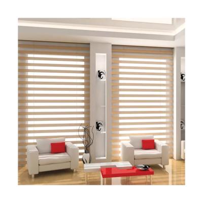 China Factory Good Quality UV-Protective Zebra Manual Roller Shades Shades Pure Double Day Night Window Shades for sale