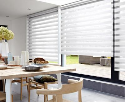 China Hot Selling Eco-Friendly Fancy Roller Window Manual Zebra UV-Protector Double Blind Comi Shade for sale