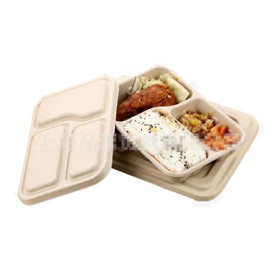 China Three compartments to-go box biodegradable eco friendly wheat starw fast food container with lid for sale