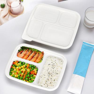 China Three compartments starch warp up tray white color eco friendly fast food container with lid for sale