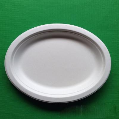 China Medium size biodegradable fish dish sugarcane BBQ fish plate for picnic for sale