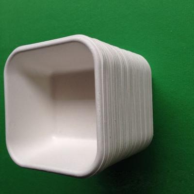 China biodegradable eco-friendly dinnerware sugarcane square shaped food tray for sale