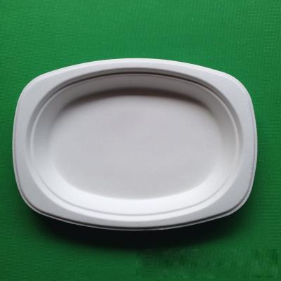 China biodegradable eco-friendly tableware sugarcane small oval shaped food tray for sale