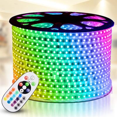 China Residential LED Rope Lights 50m Dimmable RGB Strip Lighting Kit 230V Waterproof Male-Female Connectors Power Flexible RGB LED Rope Light for sale