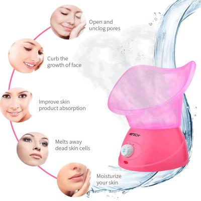 China Hot PRITECH Moisturizer Products Portable Professional Spa Electric Facial Steamer for sale