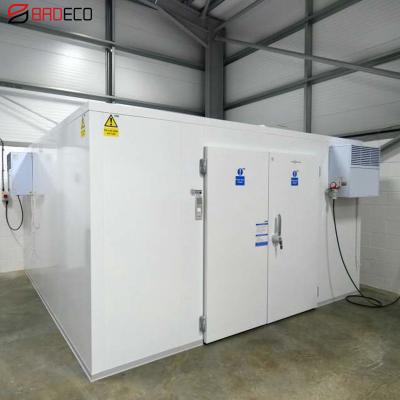 China food & Beverage factory chicken cold room refrigeration forced air freezer for sale for sale