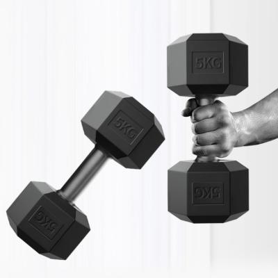 China 2022 Hot Sale Eco-friendly Custom Gym Exercise Hammer Strength Rubber Dumbbell for sale