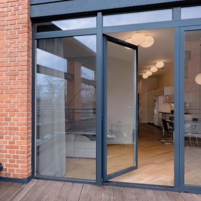 China Heat Insulation Tempered Glass Swing Door Double Glazed Customized Aluminum Outside French Door Frames Black Modern Style for sale