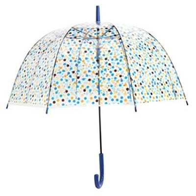 China All in 1 poe material eco-friendly clear transparent upright umbrella for women for sale