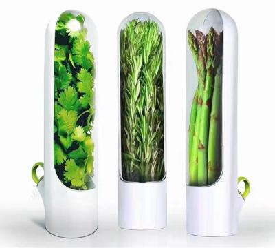 China Sustainable Herb Savor Storage Container Freshness Herb Keeper Transparent Refrigerator Herb Saver for sale