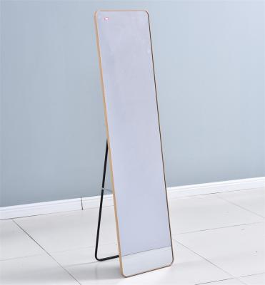 China Free Standing Minimalist Modern Bedroom Furniture Integral Dressing Mirror With Metal Frame for sale