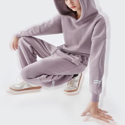 China Sustainable High Street Fleece Set Round Collar Hoodie And Casual Pants Suit For Women for sale