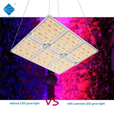 China Remote Control Or Button Led Hydroponic Strip Light Lm301h lm301 281b Quantum 800w 600w Samsung UV Panel Ip65 Bulb LED Grow Light Panel 250w 320w for sale