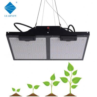 China Seed Starting Vertical Hydroponic Growing Smart Vegetables Kit Hyd Wood Board Led Commercial Lights Systems Grow Light for sale