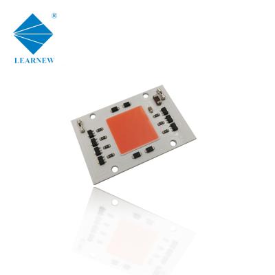 China Seed Starting AC 220V 50W 100W Full Spectrum 380nm-780nm Cob Led To Grow Light Chip For LED Growing And Industry Light for sale