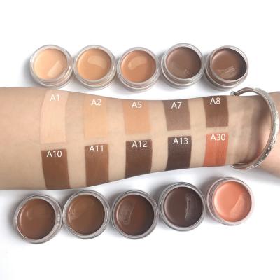 China 10 Color Waterproof Professional Concealer Concealer Contour Palette Cream Concealer Private Label Makeup Cosmetics for sale