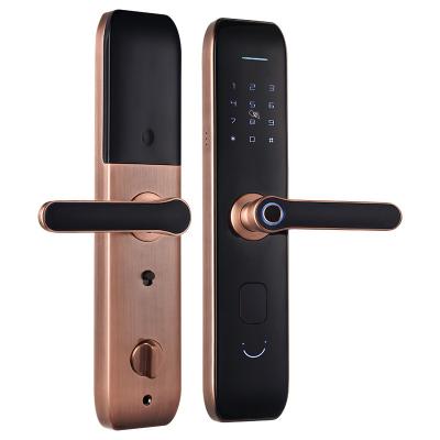 China China Manufacture Quality Door Smart Biometric Smart Lock Home Hotel Smart Door Lock for sale