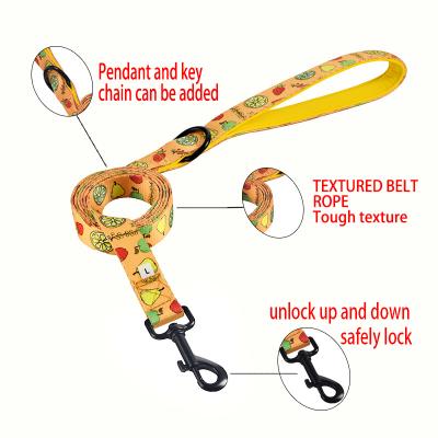 China Stocked Custom Logo Dog Pet Collars Leashes Harness Six Set No Pull Soft Waterproof For All Size Dog for sale