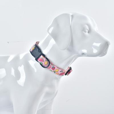 China OEM Viable Wholesale Pet Harness Set Dog Collar Pet Walking Leash Set Dog Leash Luxury for sale