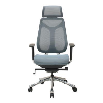 China (Size) Morden Ergonomic Adjustable Swivel Office Chair Mesh Office Chair for sale