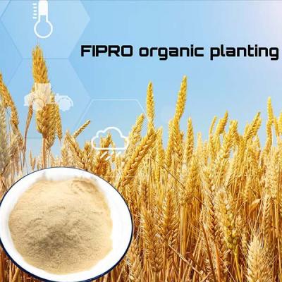 China Enzimático sustancia química del polvo del fertilizante de las plantas proteaginosas de soja libre en venta