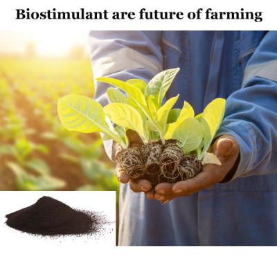 China Animal Derived Biostimulant Amino Acid Fertilizer Better Than Seaweed Extract for sale