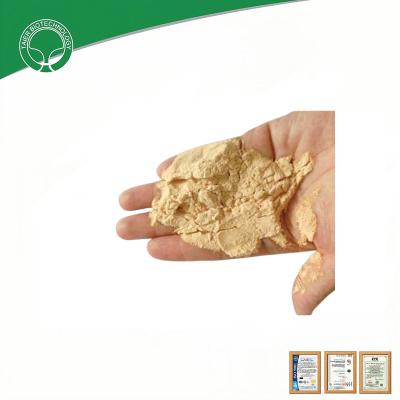 China Soy Protein Hydrolysate Powder 80% Amino Acid Content Packaging specification 20KG/bag for sale