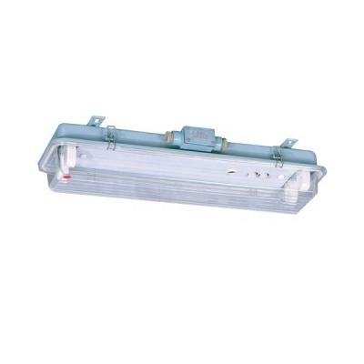 China Steel OEM Brand JCY26-2EF 2X20W 220V 60Hz FL Marine Pendant Light with Emergency Lamp Holder for sale