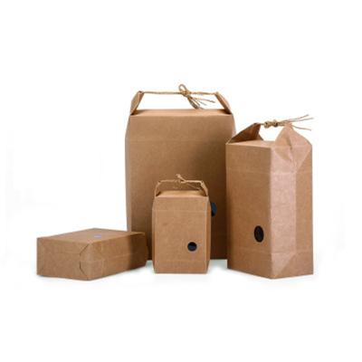 China Brown Moistureproof Custom Logo Paper Bag Printing Packing Gift Kraft Paper Shopping Bag With Rope Handle for sale