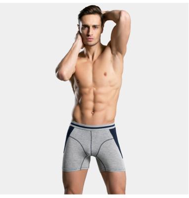 China Manufacturer Antibacterial Directed Modal and Spandex Young Men's Boxers and Trunks for sale