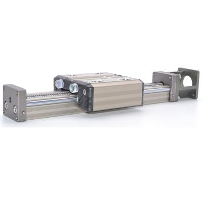 China food & Beverage Factory High Precision 150 Mm Linear Motion Rail Ball Screw Guide With Stepper Motor for sale