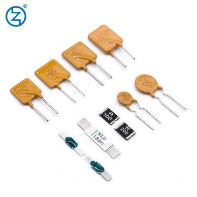 China Adjustable SMD Toys 33V 48V 50V 60V 63V 125V 250V 300V PPTC PTC Fuse Type Fuse for sale